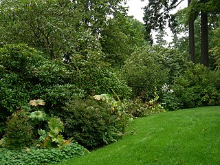 Dunn Gardens private garden in Seattle, Washington, USA