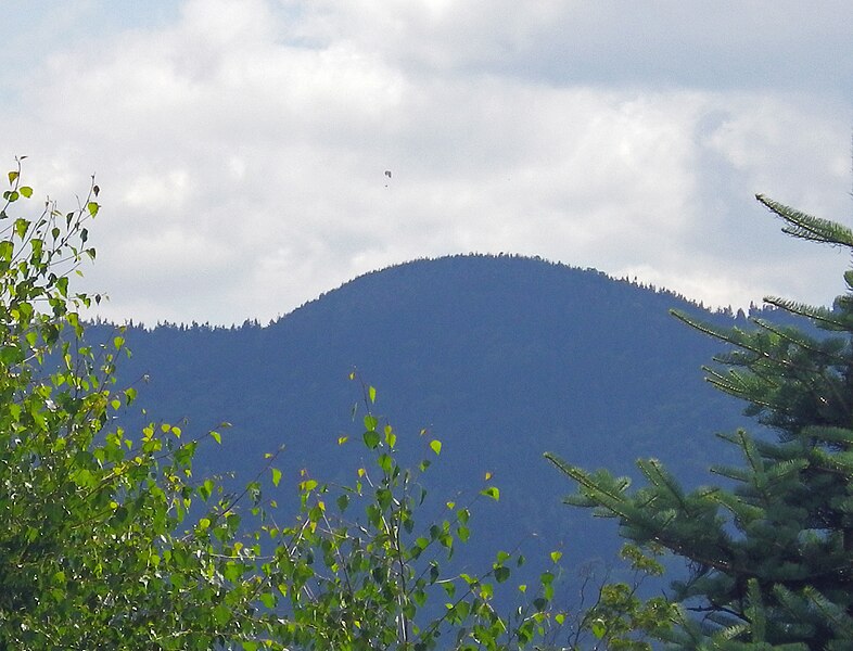 File:Dzikowiec with a paraglider.JPG