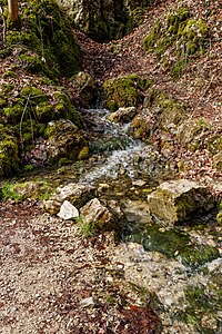 Parts of the Echaz springs Swabian Jura