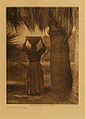 Edward S. Curtis Collection - The harvester - Cahuilla.jpg