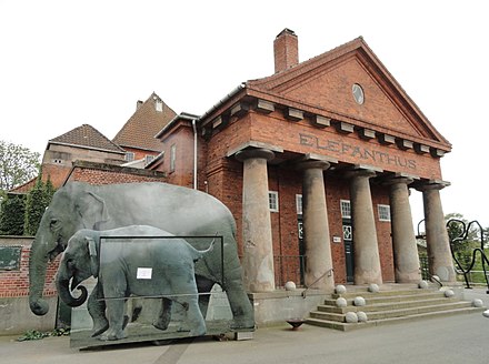 Elefanterne i København Zoo -