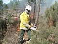 Brûlage dirigé en forêt domaniale de l'Estérel conduit par les personnels APFM de l'Office national de forêts en 2010.
