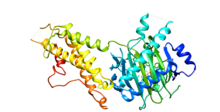 FTO protein.png