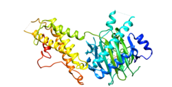 FTO protein.png