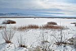 Thumbnail for Fallon National Wildlife Refuge