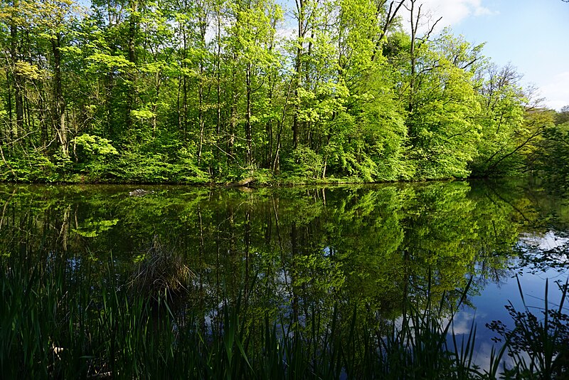 File:Fasanerie Aschaffenburg Apr 2017 3.jpg