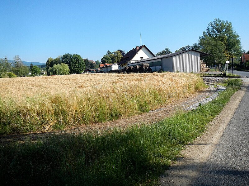 File:Feldbahn Bhf Stainz 2.JPG