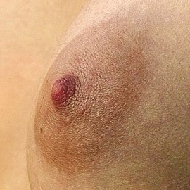 Breast reduction: foremost is the tissue viability of the NAC; it also hides a periareolar scar in the skin-color transition at the areolar periphery. Female Areola.jpg