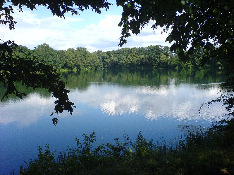 File:Fichtensee - panoramio.jpg