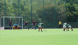 Hockey Sobre Césped: Historia, Naturaleza del juego, Equipamiento requerido