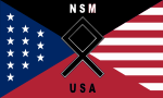 Flag of National Socialist Movement (United States) (2016).svg