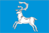 Flag of ویلیویسک