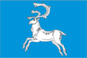 Flagget til Viljujsk