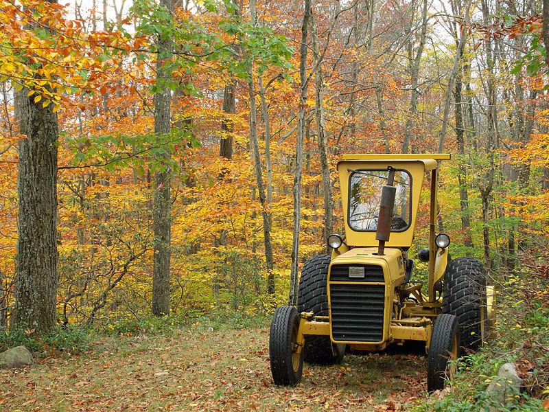 File:Flickr - Nicholas T - Spruce Swamp Natural Area (6).jpg