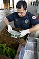 Food Safety on the Border 3640 (4458380190).jpg