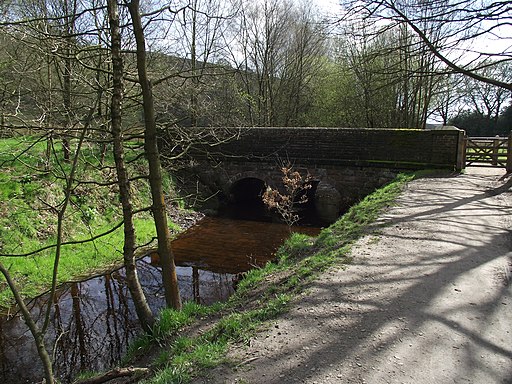 Footbridge over the Goit - geograph.org.uk - 2895075