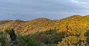 Thumbnail for Cyprus Mediterranean forests