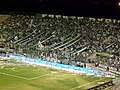 Fans von Deportivo Cali