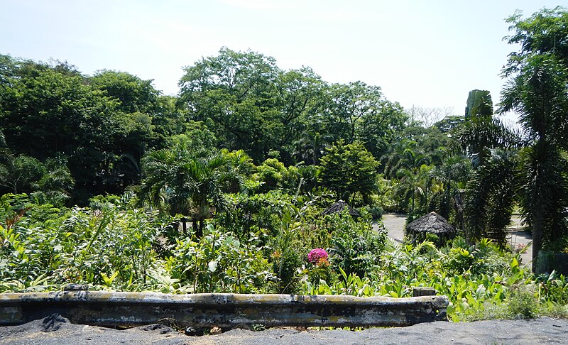 File:FvfGuiguinto,Bulacan9848 18.JPG