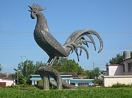 The Rooster of Morón