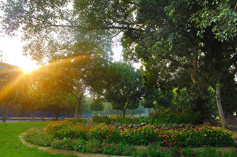 File:Garden at IIT Delhi.jpg