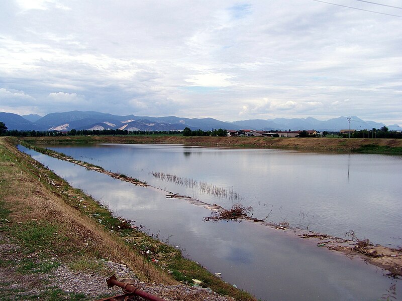 File:Garza bacino contenimento Montichiari 20100621.jpg