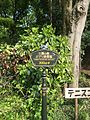 * Nomination Ghibli Museum sign at Mitaka, Tokyo. --Thibaut120094 20:46, 7 March 2015 (UTC) * Promotion Good quality. --Isiwal 15:21, 12 March 2015 (UTC)