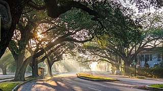 <span class="mw-page-title-main">City Park, New Orleans</span> New Orleans Neighborhood in Louisiana, United States