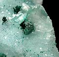 Gypsum-Atacamite-Quartz-249243.jpg