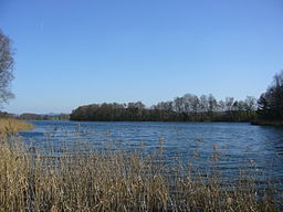 Sjön Hüttwilersee.