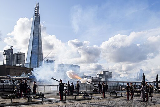 HRH The Price of Wales 71st Birthday Gun Salute MOD 45165446