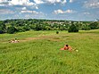 Hampstead Heath (35220827152).jpg