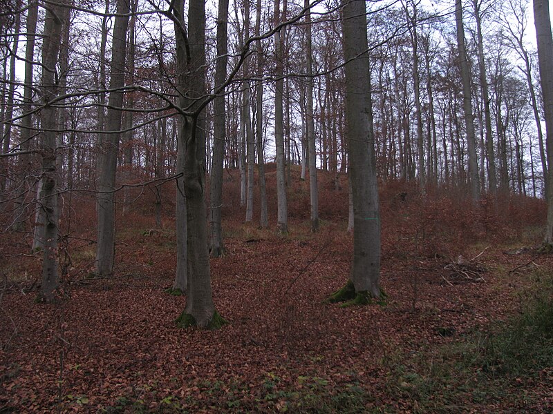 File:Hangarstein, 3, Fürstenwald, Calden, Landkreis Kassel.jpg