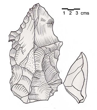 <span class="mw-page-title-main">Heavy Neolithic</span>