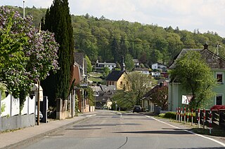 <span class="mw-page-title-main">Hillscheid</span> Municipality in Rhineland-Palatinate, Germany