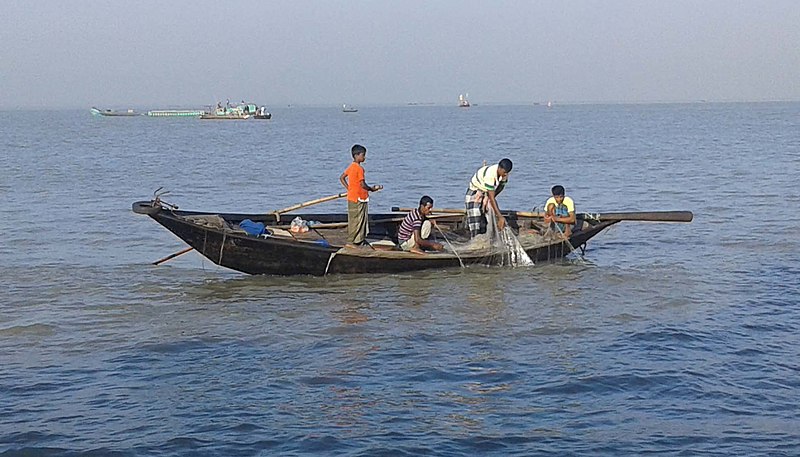 File:Hilsa Fisherman.jpg