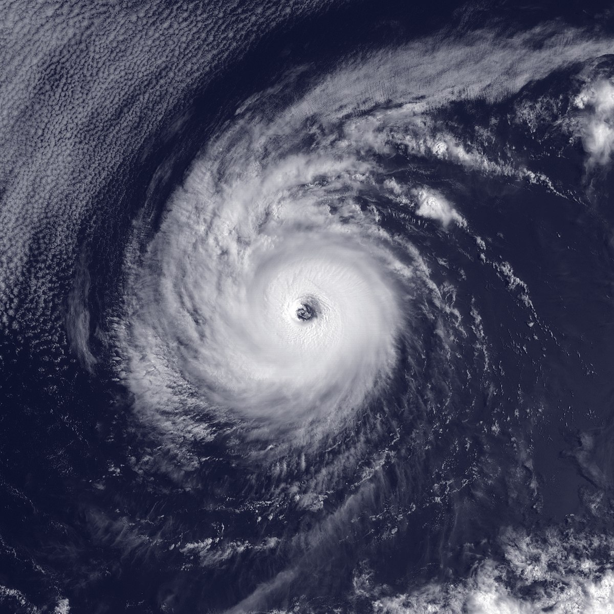 1999 The Hurricane