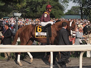 <span class="mw-page-title-main">Ice Box (horse)</span> American-bred Thoroughbred racehorse