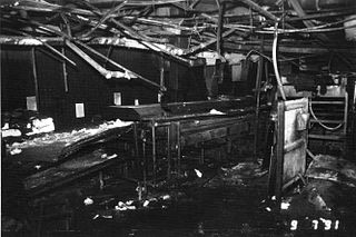 <span class="mw-page-title-main">Hamlet chicken processing plant fire</span> 1991 industrial fire in Hamlet, North Carolina, US