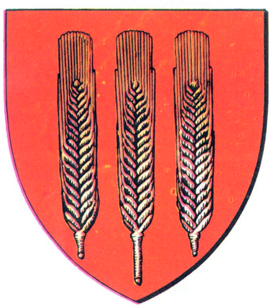 File:Interbelic Roman County CoA.png