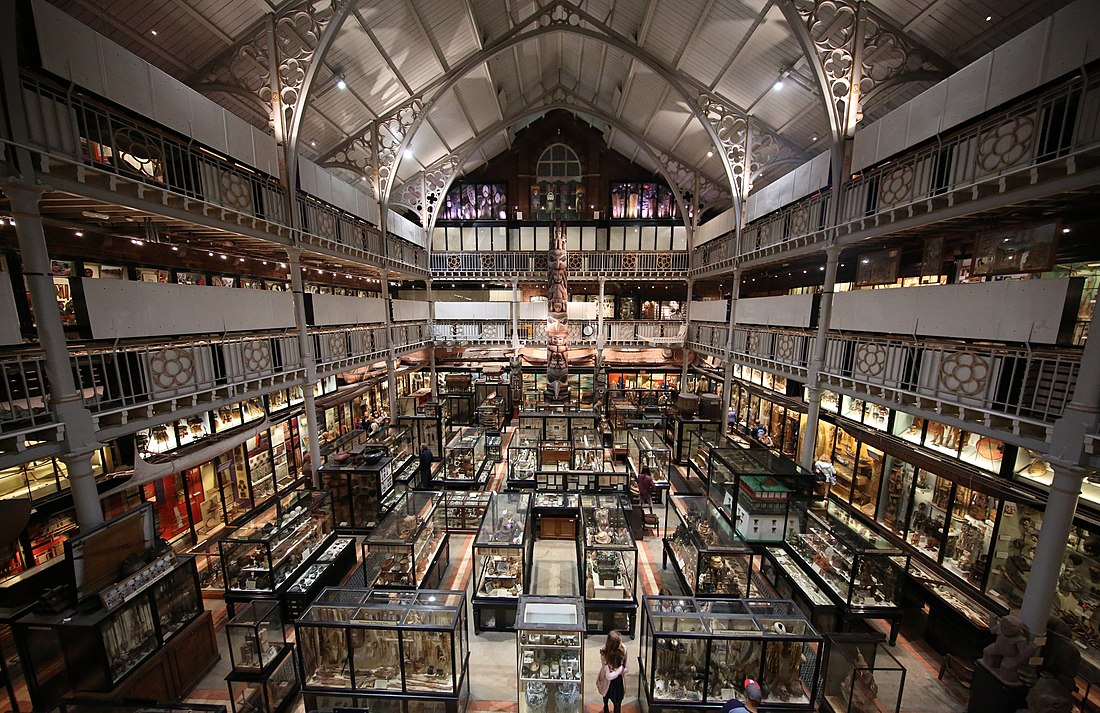 Pitt Rivers Museum