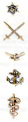 Bar button and insignia for the Army, Air Force, Navy and Military Health Service Iphrothiya ye Bhronzi (PB) insignia.jpg