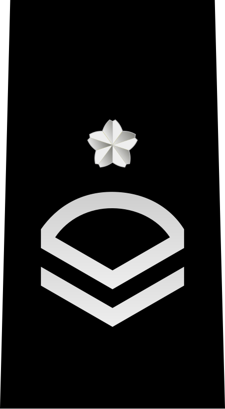 Tập_tin:JMSDF_Petty_Officer_2nd_Class_insignia_(b).svg