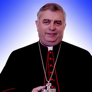 <span class="mw-page-title-main">José Rodríguez Carballo</span> Spanish prelate