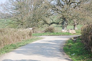 West Tisbury, Wiltshire Human settlement in England