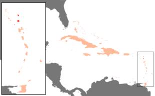 Karibik Antigua und Barbuda Position.png
