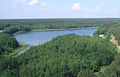 Kauknorėlise järv