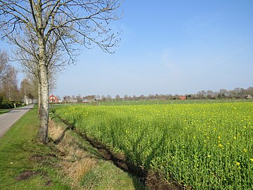 Kleinhesel Westerstraße