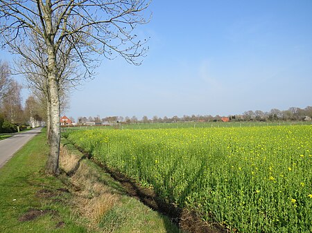 Kleinhesel Westerstraße