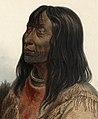 Kootenai tribal member face detail, from- Karl Bodmer Travels in America (79) (cropped).jpg